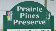 Prairie Pines Preserve